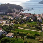 Viboni *